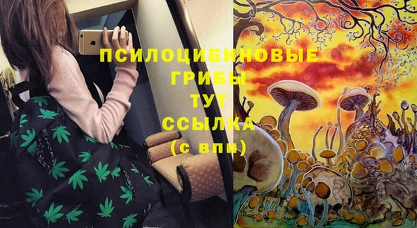 стафф Абдулино