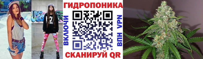 купить наркоту  Ростов-на-Дону  МАРИХУАНА SATIVA & INDICA 